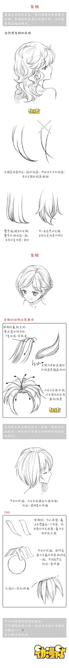 Dr悠然采集到头发