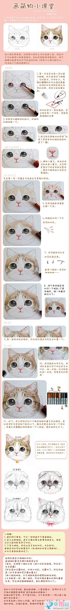ZAykFi9K采集到猫猫