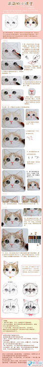 萌物小课堂——彩铅画猫步骤图～via:福阿包