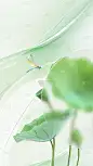 立夏清新感模糊玻璃质感荷叶蜻蜓背景
