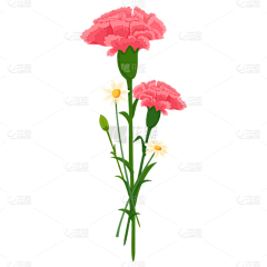 nobody_采集到母亲节