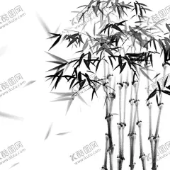 竹子素材 【酷图网】竹子素材,卡通竹子,竹子,竹子插画,清新,雅致,素材,元素,插图,矢量,图片,竹子图案,可爱,海报素材,背景,植物,手绘,竹子元素,包装,logo,图案,图标,标志,简约,壁纸,中式,国潮,古风,国风,古典,中国风,端午节,清明节,端午,清明,意境,竹竿,竹节,竹叶,卡通,竹,绿色,叶子