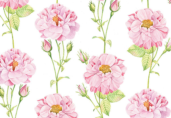 Vintage rose pattern...