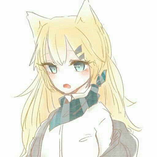兽耳