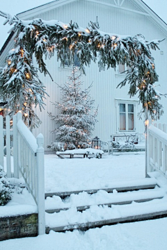 猫♛斯拉·²¼·采集到梦❤守望雪国的那抹白