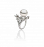 Nova Hook Earrings : Inspired by the majesty and awe of the universe

18k White Gold, Diamonds and South Sea pearls. 