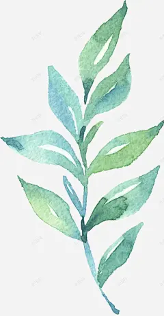 绿植物叶子树叶水彩手绘礼物浪漫情人节婚博会告白表白 元素 免抠png 设计图片 免费下载 页面网页 平面电商 创意素材