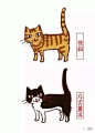 “狸花猫，一生只忠于一个主人！”_品种 : 目前，并没有任何一种疾病被认为是狸花猫易患的遗传病，不像那些外来品种猫，或多或少会有些比较易患的遗传病。 哪怕是主人将它给送人或者丢掉了，过段时间，你就会发现它又自己跑回来了，哪怕主人不在家，哪…