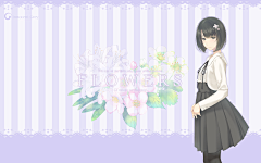 伊卡羅斯W1ek采集到杉菜水姬Innocent Grey