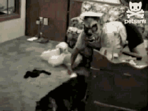 鬼啊！