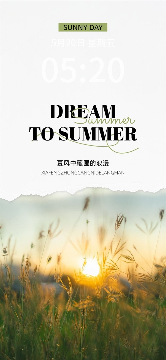 实景撕纸拼贴风手机壁纸