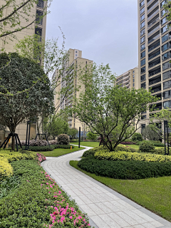 王先森-景观规划师采集到A-景观-空间/大区景观