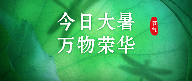 大暑节气实景植物公众号首图