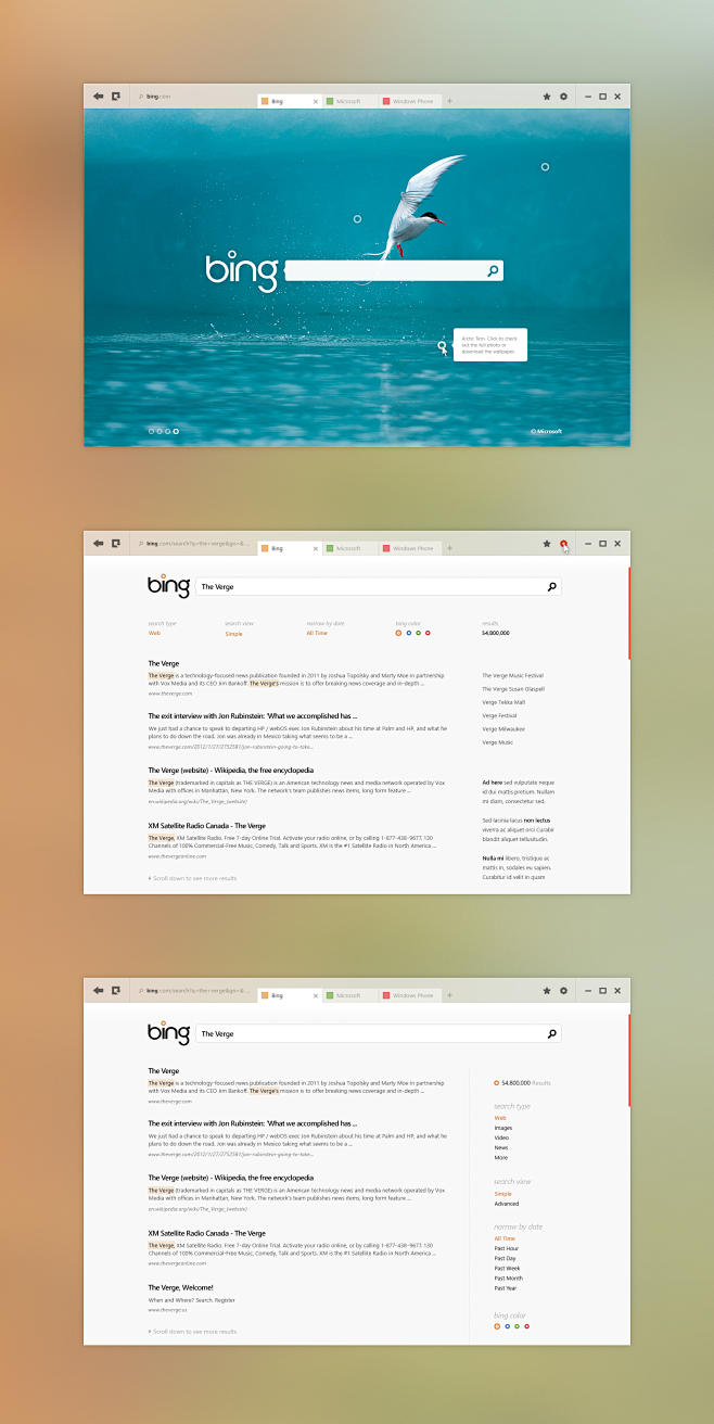 Bing_full