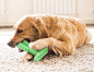 Bristly Dog Tooth Brushing Stick