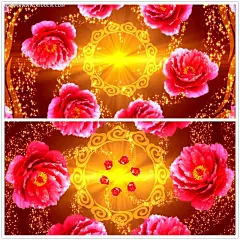 喜庆牡丹花金色光效背景视频LED背景视频|背景视频|创意个性视频|合成背景|合成视频|金色星光背景|视频素材|视频下载|金色名片背景|星光背景|金色底纹背景图片|金色底纹背景
