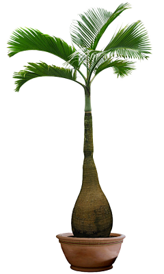 风声当做离别歌采集到意境图