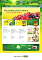 Kwidzyn健康的蔬菜来自波兰领域 - 网页设计 - 黄蜂网woofeng.cn