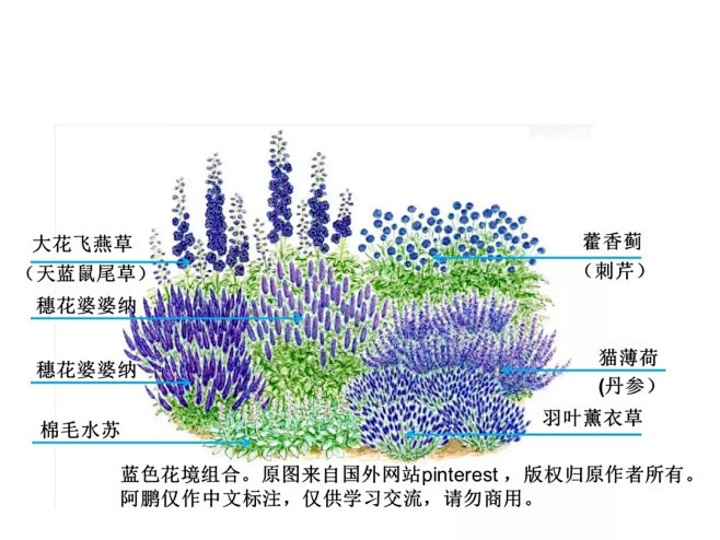 阿鹏花境