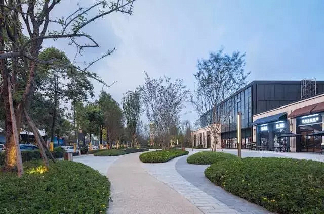 微地形可适当增加土方量也会增大种植观赏面