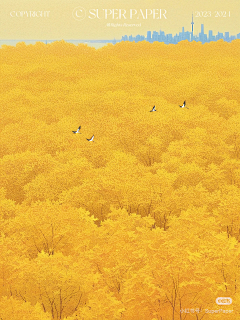 高琎1981采集到插画