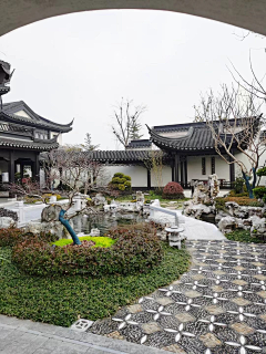 zmc、小太阳采集到围墙