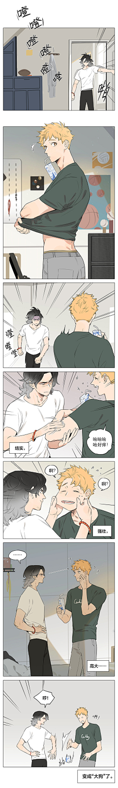 小拂尘采集到分镜