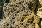 266 photos of Porous Limestone Cliffs