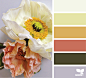 Design Seeds : Design Seeds color palettes ... posted daily for all who love color.