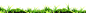 草地