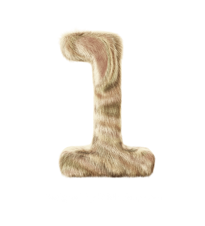 高清PNG素材 好玩的动物皮毛3D数字元...