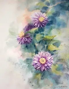 花草 - 高清图片，堆糖，美图壁纸兴趣社区