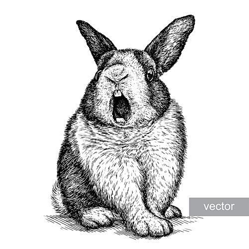 手绘黑白稿素描兔子动物羊鸡马插图海报 A...