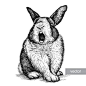 手绘黑白稿素描兔子动物羊鸡马插图海报 AI矢量设计元素  (4)