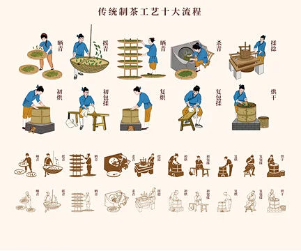 传统制茶工艺十大流程-花瓣网