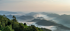 Miu木采集到素材