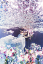 花海