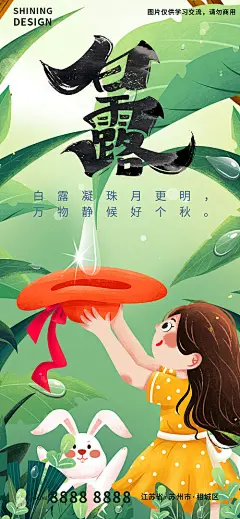 海报 二十四节气 白露 缤纷 手绘 插画