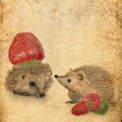 【Anne Solfud的插画作品】