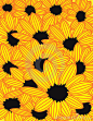 Yellow Sunflowers Background #黄色#