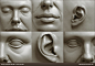 Digital Sculpting Human Anatomy Studies, Adrian Spitsa