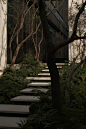 “小“庭院里的“大” 自然，金茂西安璞逸曲江示范区 / MIND STUDIO迈德景观 – mooool木藕设计网