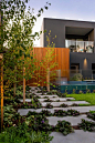 Malvern East 庭院花园设计 - hhlloo : 花园将成为客户梦寐以求的郁郁葱葱的宁静绿洲与他们自己的私人庇护所