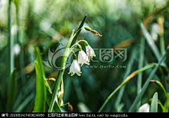 春季花卉 高清虚焦 春季 美丽 园艺 春天园林 纯洁 花朵 开花 野花 草丛 壁纸 小清新 淡雅别致 绿意盎然
【参数】 12.86 MB | JPG | 6720×4480 | 240DPI | RGB