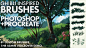Ghibli Inspired Brushes for Photoshop and Procreate