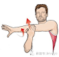 1.肩胛伸展 (Scarf Stretch)：
这是个简单且有效的伸展动作, 特别是伸展肩关节周边的肌肉。此伸展对于举重和投掷性运动特别有帮助。

作法：双脚站立与髋同宽，双膝微弯。将左手越过身体，手肘微弯。并以右手固定于左手肘处，然后将左手臂向身体靠，直到感觉到肩膀的肌肉紧绷。换边再重复相同动作。