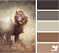 lion tones