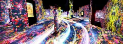 【专辑】时已立春，来场花见吧 | TOPYS | 全球顶尖创意分享平台 OPEN YOUR MIND