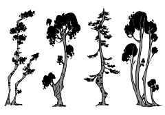 尼布甲尼撒采集到植物设计参考