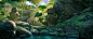 adrien-gonzalez-le-chemin-des-grenouilles-small